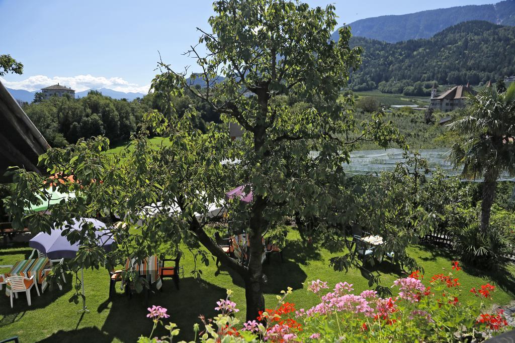Felsenegg Nalles Quarto foto